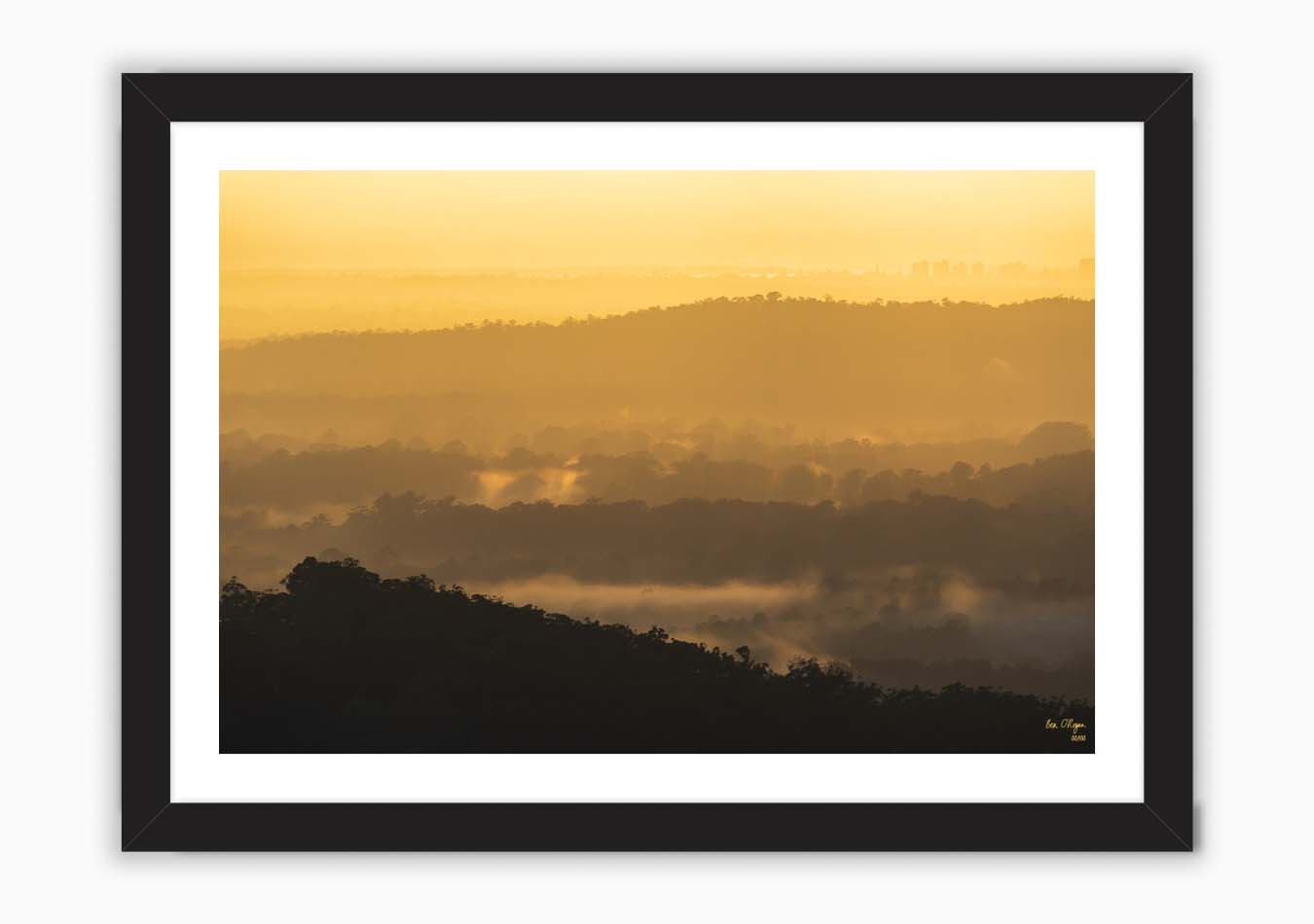 Pikcha - Sunrise mist in the valley
